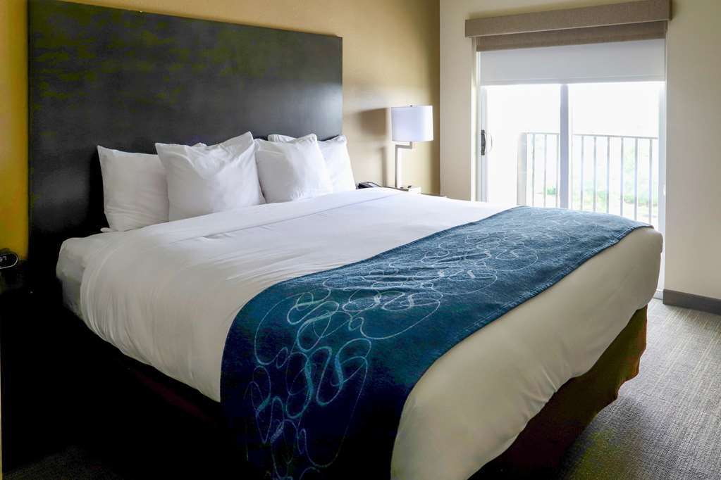 Comfort Suites Marysville Columbus - Northwest Room photo